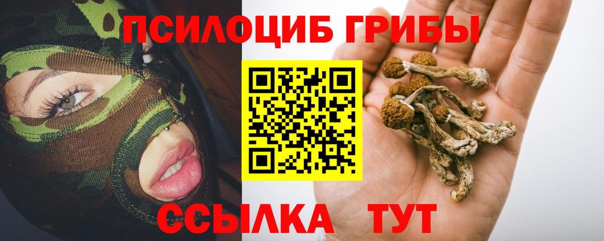Советский  Псилоцибиновые грибы GOLDEN TEACHER  Вход с VPN  Галлюциногенные грибы MAGIC MUSHROOMS 